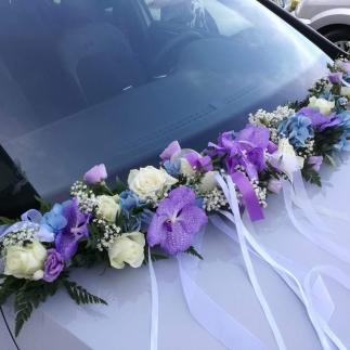 Decorazione auto 