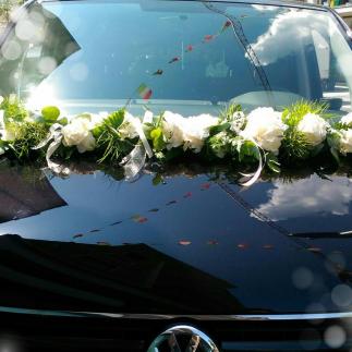 Decorazione auto 