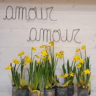Composizione primaverile